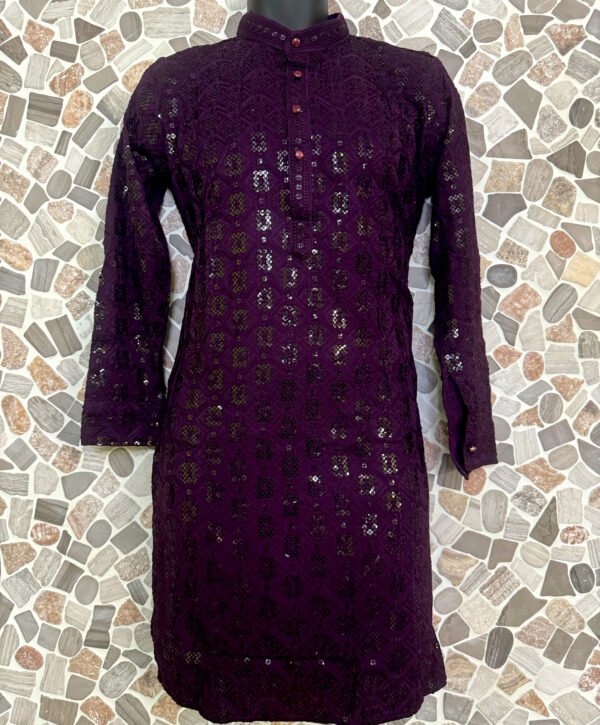 Dark Purple Chikan Kurta