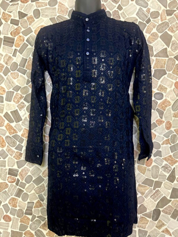 Navy Blue Chikan Kurta