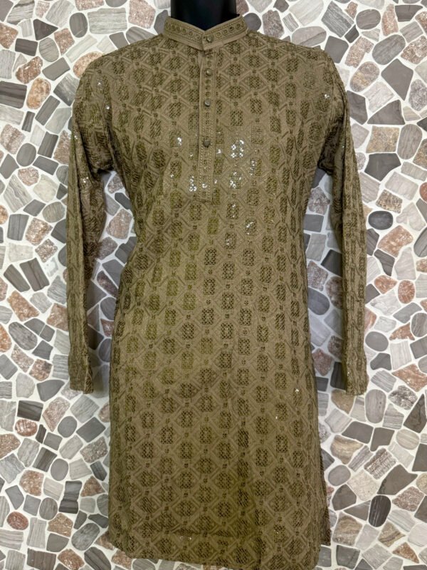 Brown Chikan Kurta