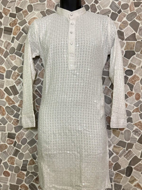 White Chikan Designer Kurta