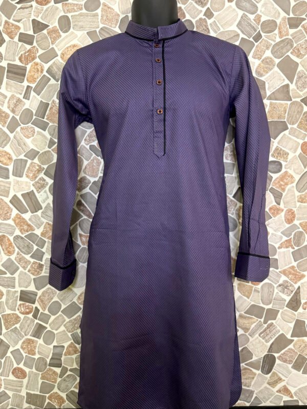 Purple Stripe Work Kurta