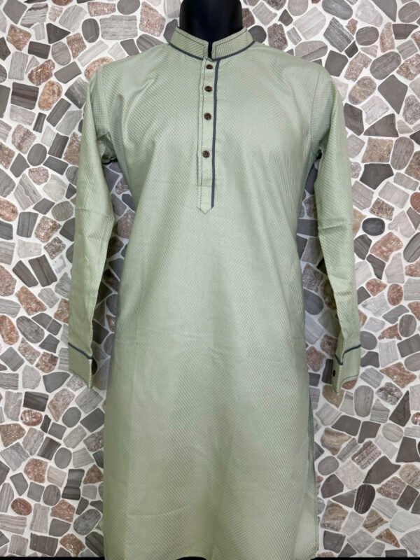 Light Green Stripe Work Kurta